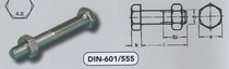 ZESKANTBOUTEN MET MOER DIN-601/555