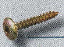 SCHARNIERSCHROEVEN TORX