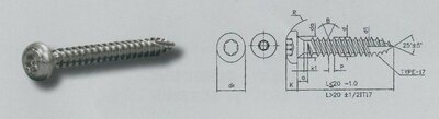  4,0X 30 TX20 MULTI-schr. ck TORX verzinkt (VPE:200)