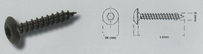  6x 50 Schroef cil. kop large torx TX-30 zwart pass (VPE:200)